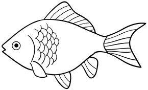 Detail Gambar Ikan Mas Kartun Ppt Nomer 11