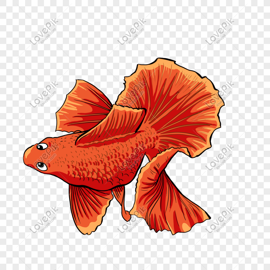 Detail Gambar Ikan Mas Kartun Ppt Nomer 3