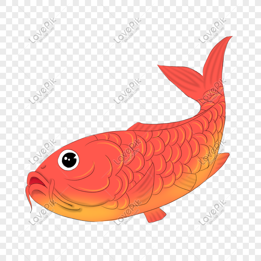 Detail Gambar Ikan Mas Kartun Ppt Nomer 5