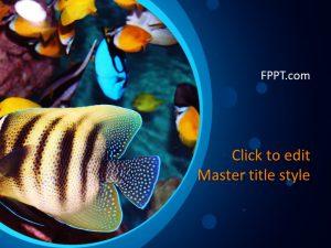 Detail Gambar Ikan Mas Kartun Ppt Nomer 44