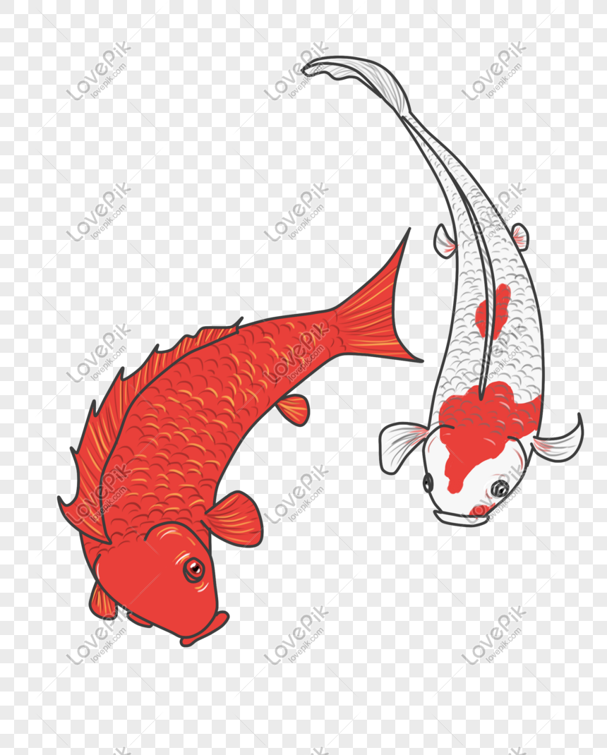 Detail Gambar Ikan Mas Kartun Ppt Nomer 8