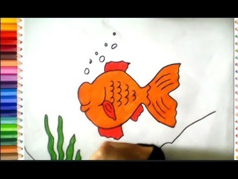 Detail Gambar Ikan Mas Koki Kartun Berwarna Nomer 5