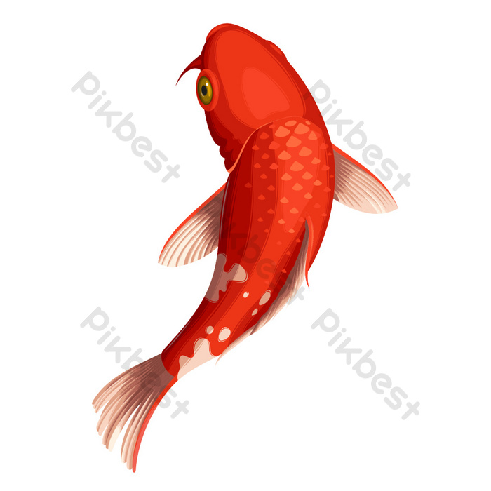 Detail Gambar Ikan Mas Merah Nomer 19