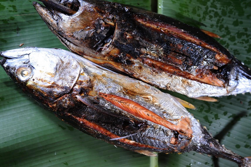 Detail Gambar Ikan Matang Nomer 31