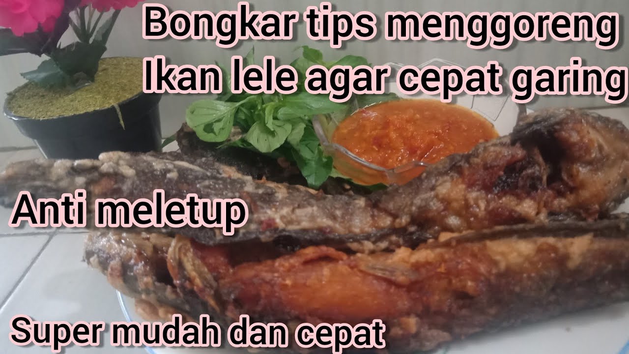 Detail Gambar Ikan Matang Nomer 45