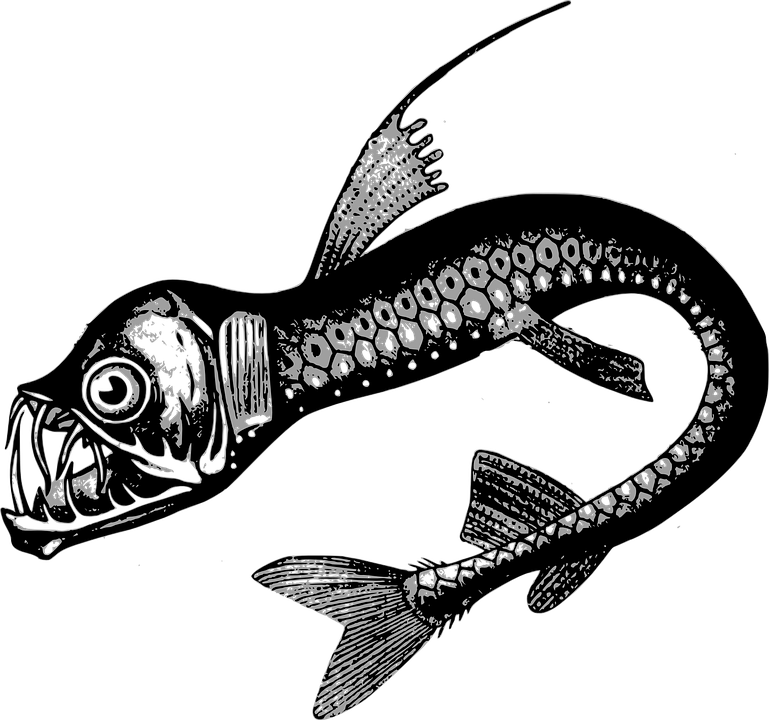 Detail Gambar Ikan Monster Hitam Putih Nomer 31