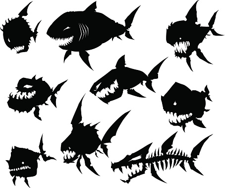 Detail Gambar Ikan Monster Hitam Putih Nomer 5