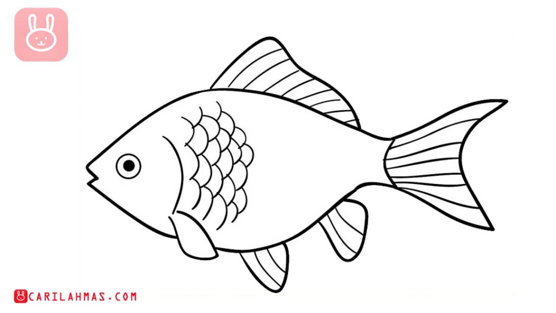 Detail Gambar Ikan Mujair Kartun Nomer 44