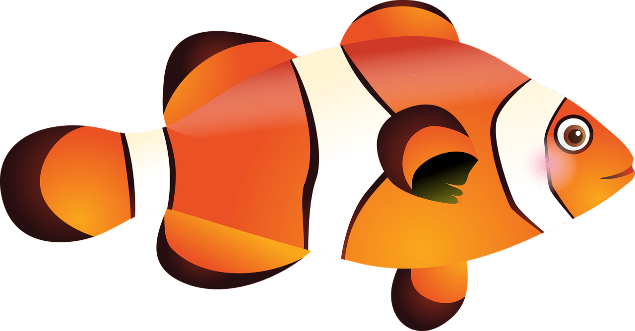 Detail Gambar Ikan Nemo Animasi Nomer 47