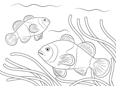 Detail Gambar Ikan Nemo Mewarnai Nomer 46