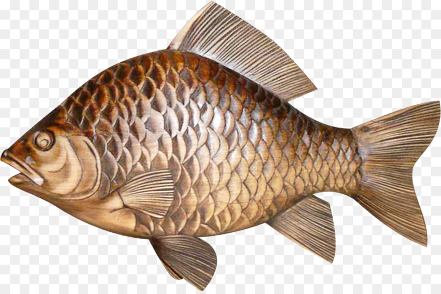 Detail Gambar Ikan Nila Png Nomer 17