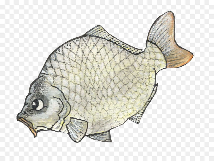 Detail Gambar Ikan Nila Png Nomer 27