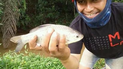 Detail Gambar Ikan Nilem Nomer 44