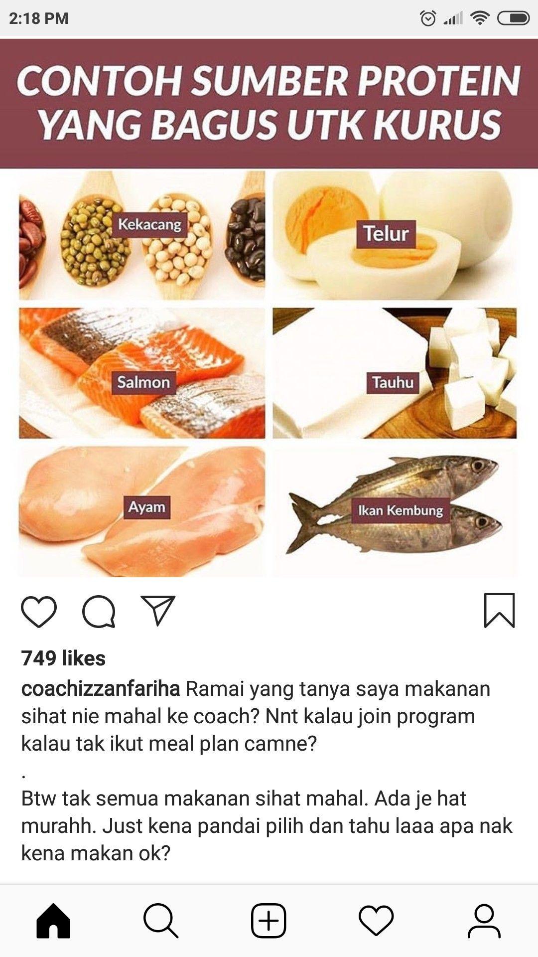 Detail Gambar Ikan Nilempaweh Ikan Lempam Nomer 14