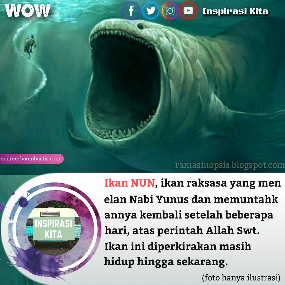 Detail Gambar Ikan Nun Nomer 41