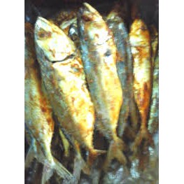 Detail Gambar Ikan Peda Nomer 54