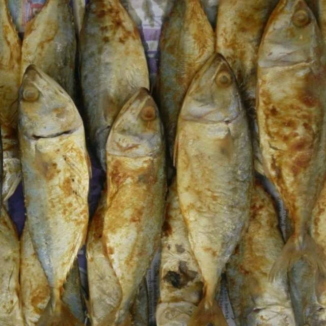 Detail Gambar Ikan Peda Kembung Nomer 19