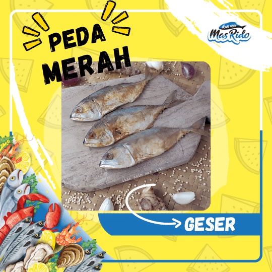 Detail Gambar Ikan Peda Kembung Nomer 43