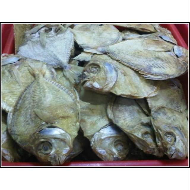 Detail Gambar Ikan Pepetek Nomer 15