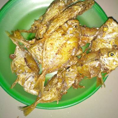 Detail Gambar Ikan Pepetek Nomer 39