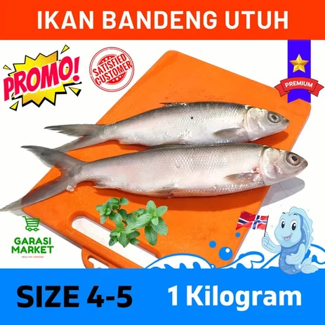 Detail Gambar Ikan Pindang Karikatur Nomer 22