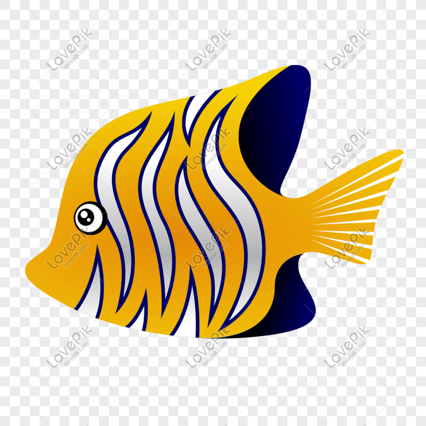 Detail Gambar Ikan Png Nomer 16