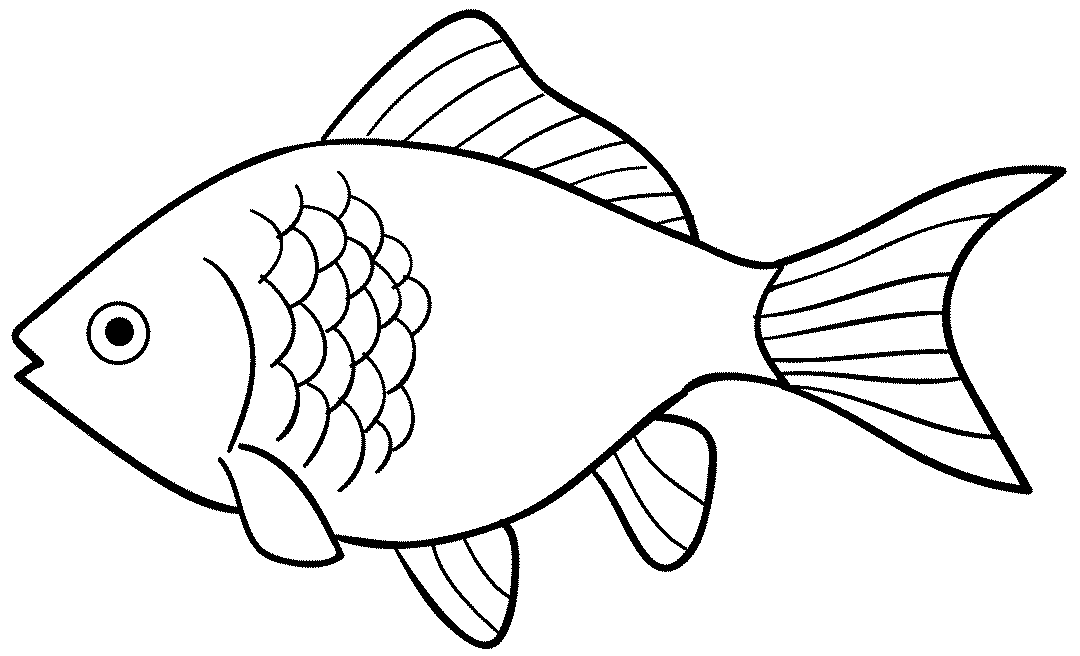 Detail Gambar Ikan Polos Tanpa Warna Nomer 2