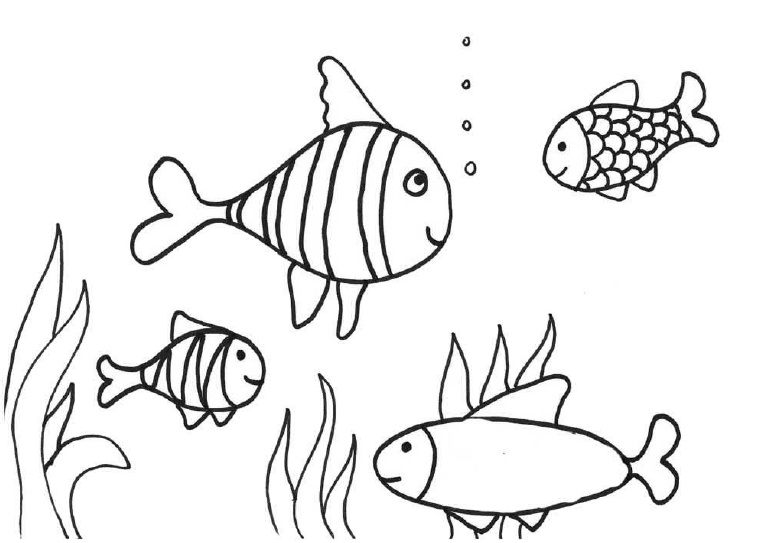 Detail Gambar Ikan Polos Tanpa Warna Nomer 33