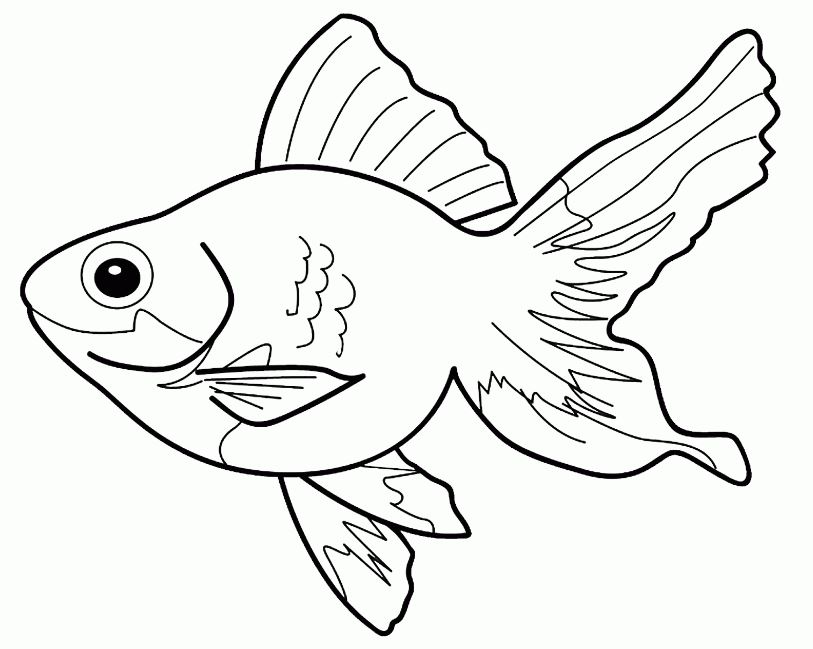 Detail Gambar Ikan Polos Tanpa Warna Nomer 9
