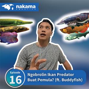 Detail Gambar Ikan Predator Nomer 42