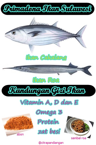 Detail Gambar Ikan Roa Nomer 13