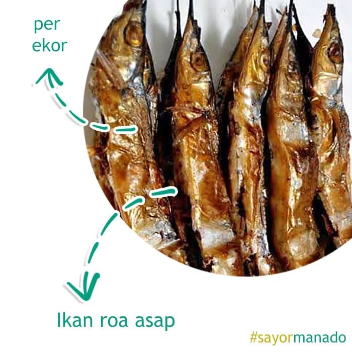 Detail Gambar Ikan Roa Nomer 21