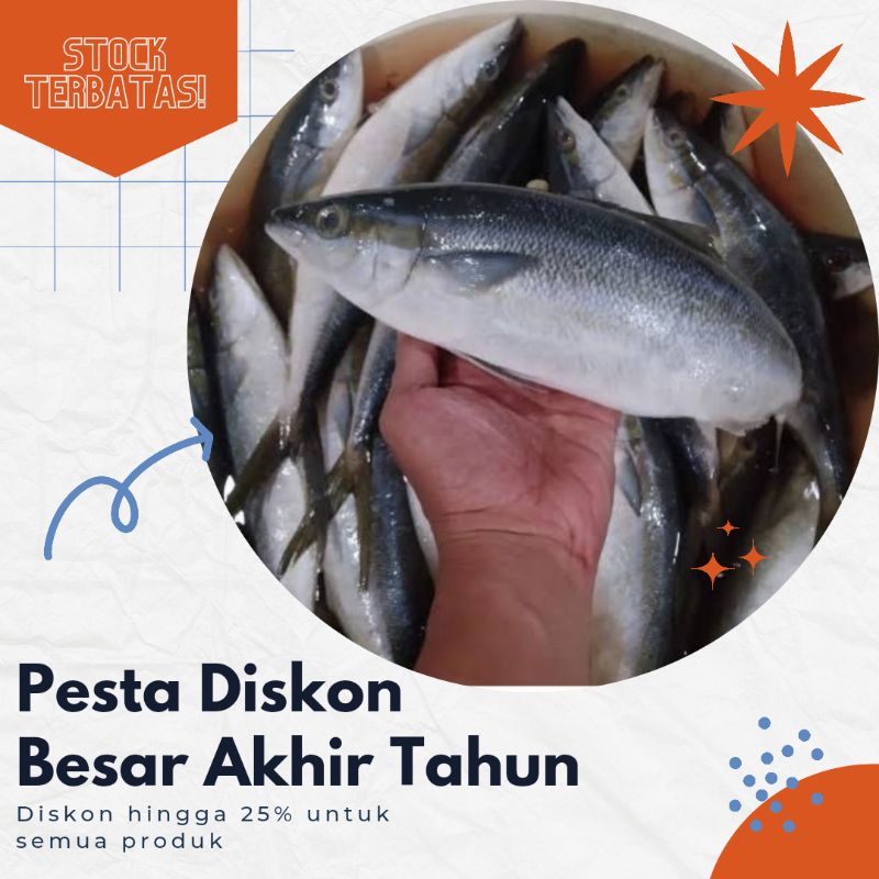 Detail Gambar Ikan Salem Nomer 43