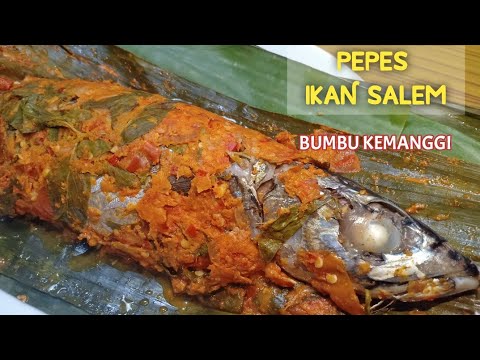 Detail Gambar Ikan Salem Nomer 53