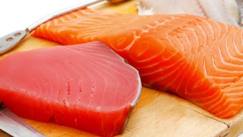 Detail Gambar Ikan Salmon Dan Ikan Tuna Nomer 2