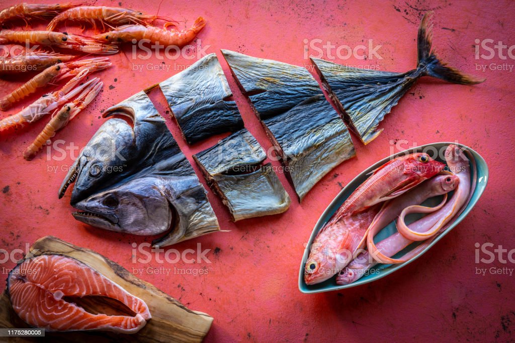 Detail Gambar Ikan Salmon Dan Ikan Tuna Nomer 18