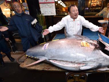 Detail Gambar Ikan Salmon Dan Ikan Tuna Nomer 31