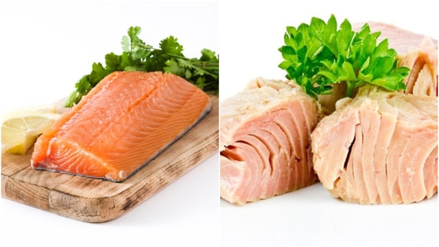 Detail Gambar Ikan Salmon Dan Ikan Tuna Nomer 43