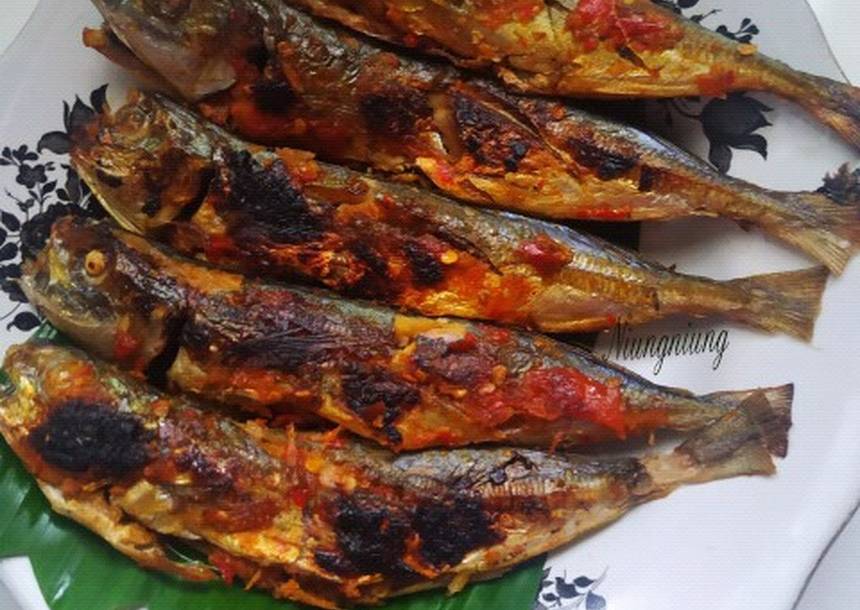 Detail Gambar Ikan Sarden Nomer 20