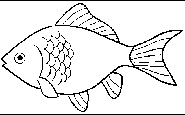 Detail Gambar Ikan Tanpa Warna Nomer 13