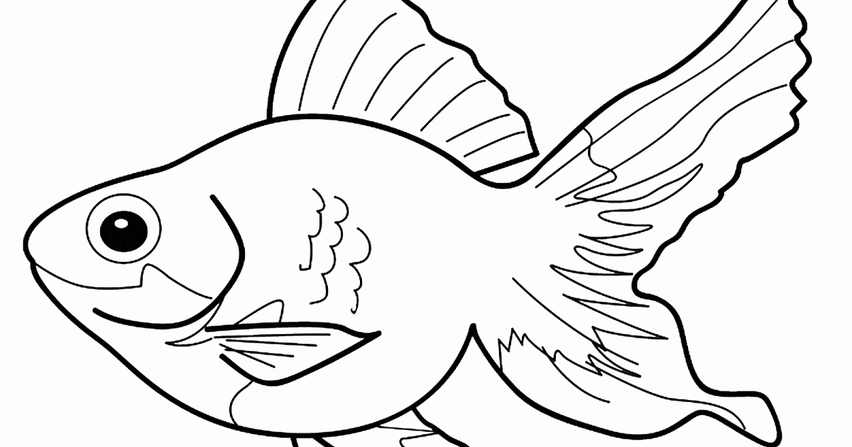 Detail Gambar Ikan Tanpa Warna Nomer 16