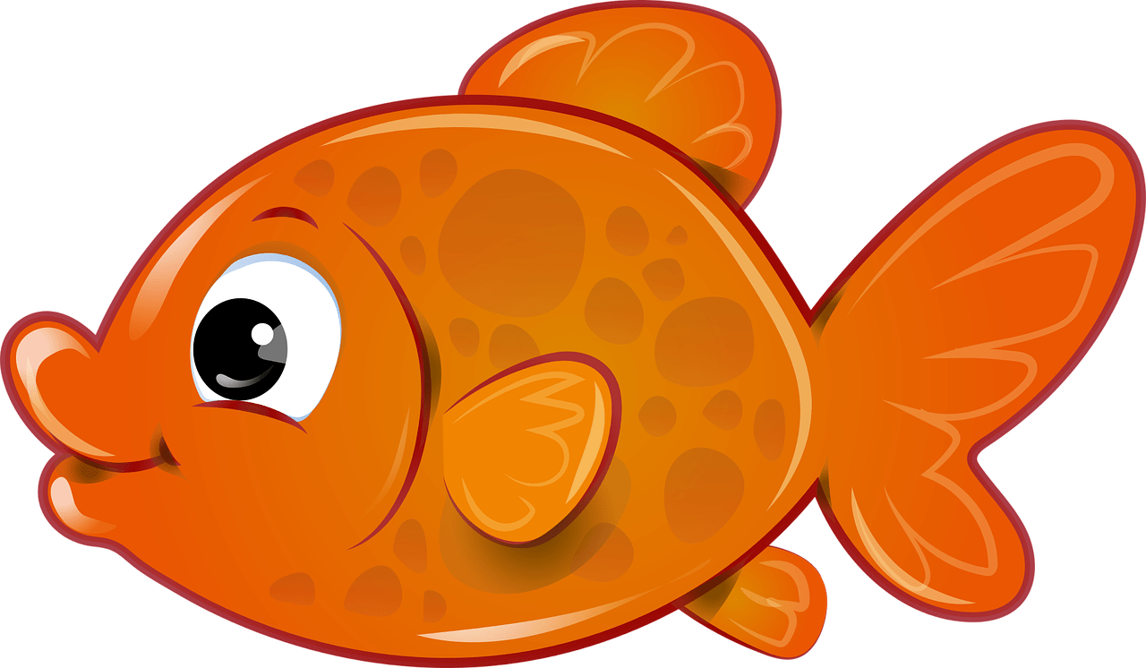 Detail Gambar Ikan Tanpa Warna Nomer 26