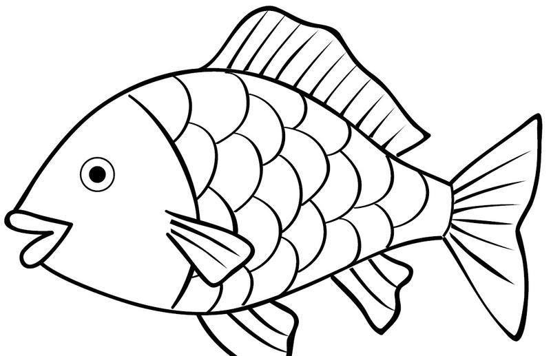 Detail Gambar Ikan Tanpa Warna Nomer 4