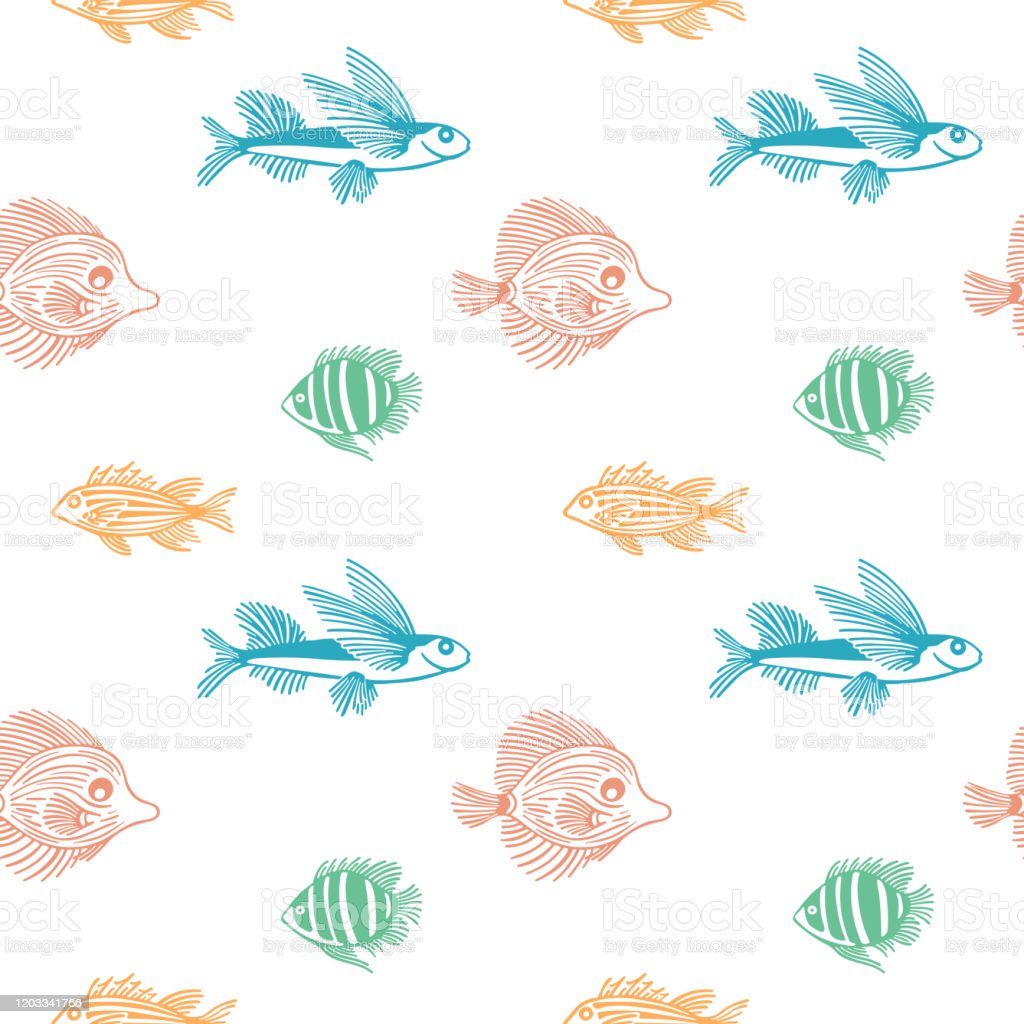 Detail Gambar Ikan Tanpa Warna Nomer 34