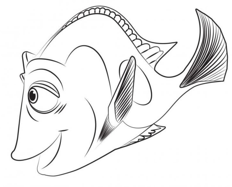 Detail Gambar Ikan Tanpa Warna Nomer 58