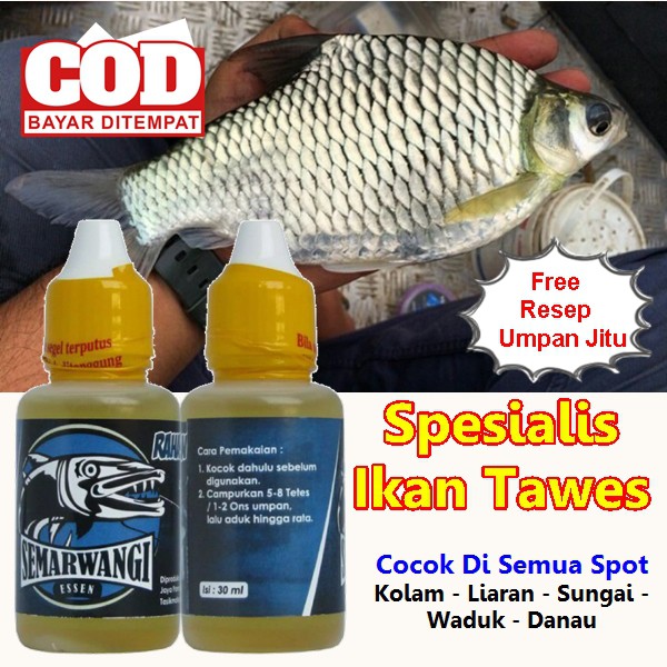 Detail Gambar Ikan Tawes Nomer 33