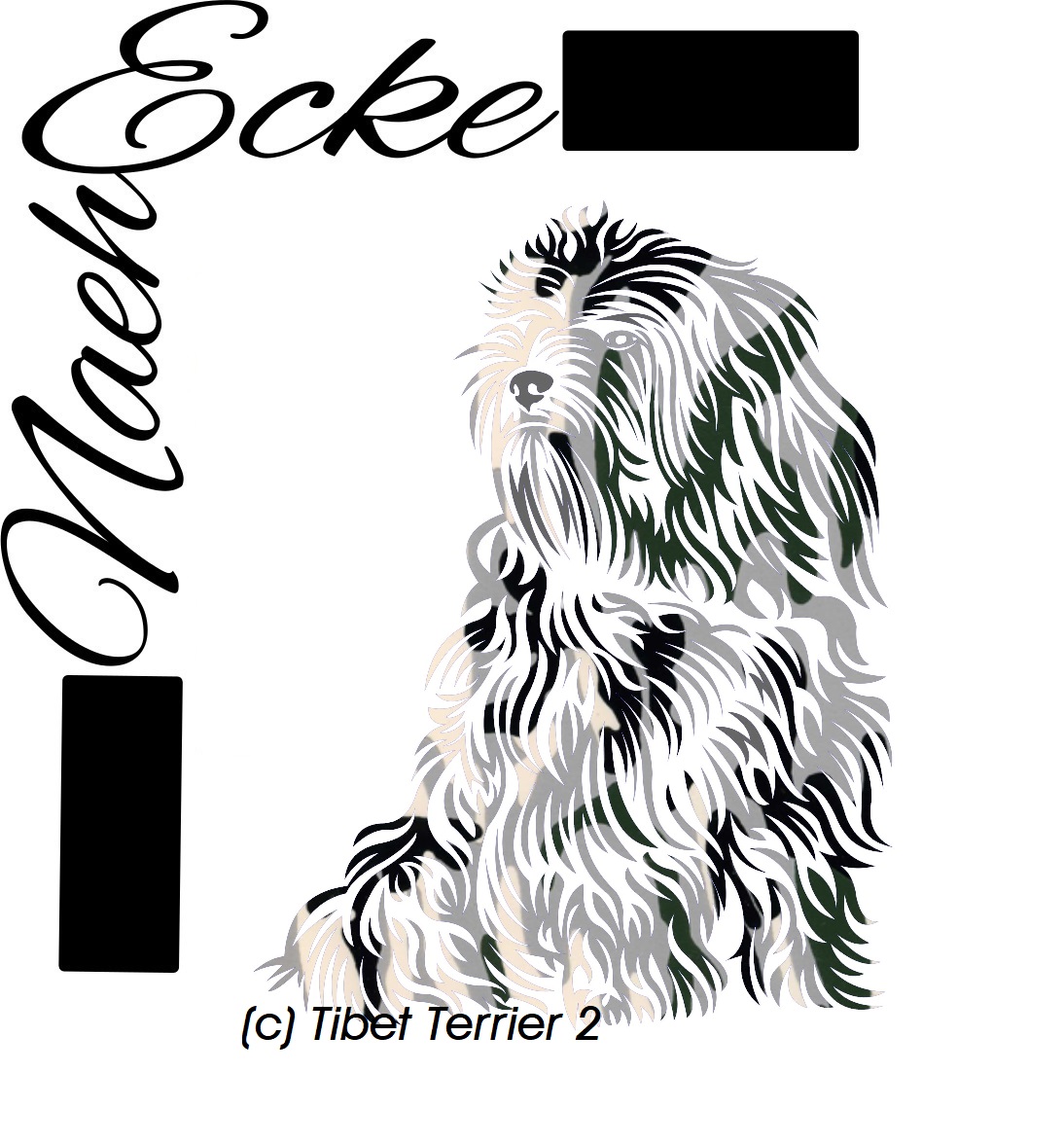 Detail Tibet Terrier Bilder Nomer 9