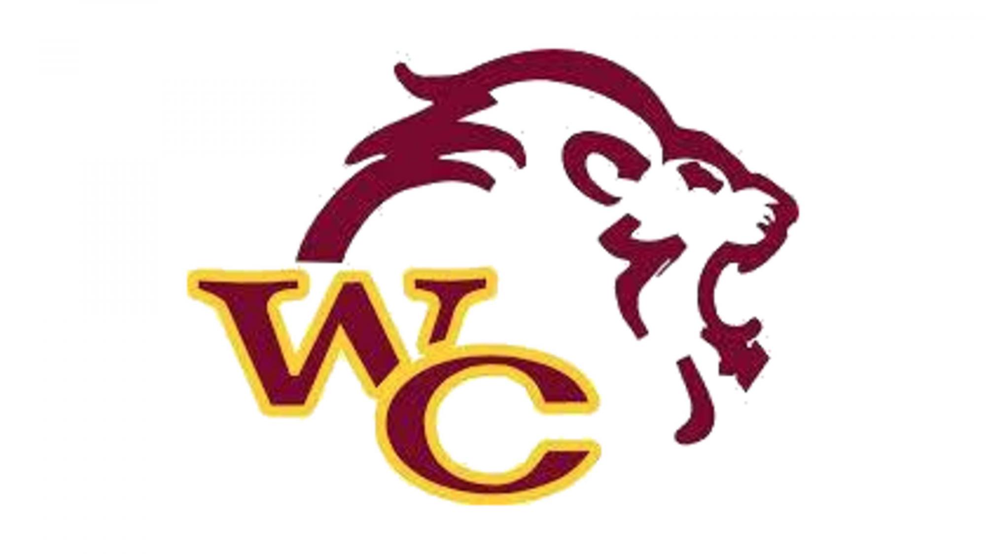 Detail Western Logo Nomer 11