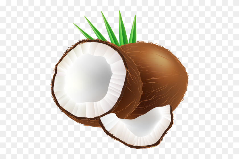 Detail Coconut Clipart Nomer 7