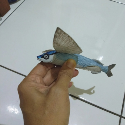 Detail Gambar Ikan Terbang Nomer 13